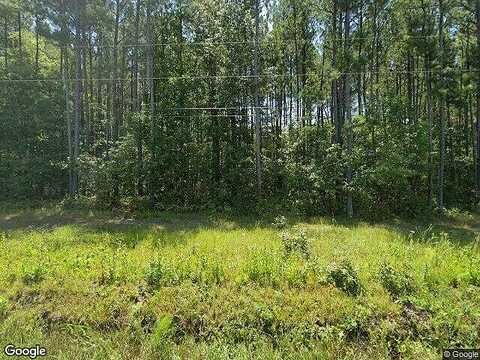 Lebanon Rd, Disputanta, VA 23888