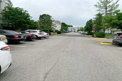 Coxton Court, Alexandria, VA 22306
