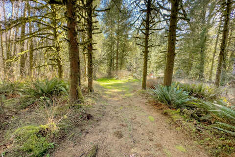 Wilson River, TILLAMOOK, OR 97141