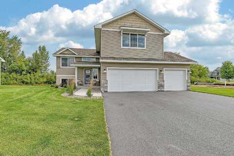 Goldfinch, Rockville, MN 56369