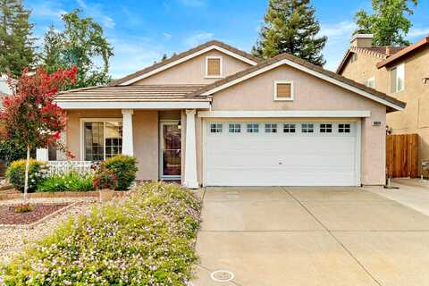 Bassie, Rancho Cordova, CA 95670