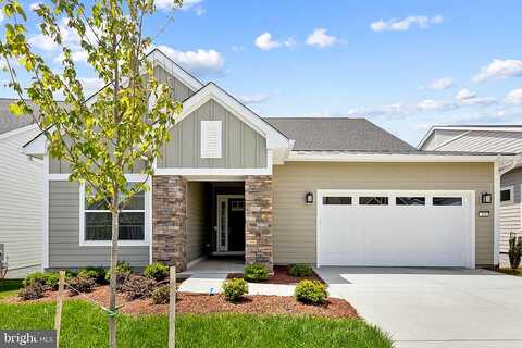 Cowbird Street, Lake Frederick, VA 22630