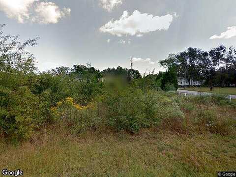 Camellia Court, Jackson, GA 30233