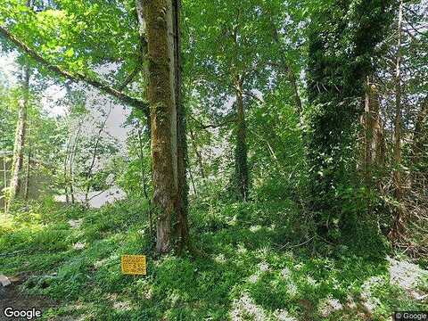 E Bridger Ln, Shelton, WA 98584