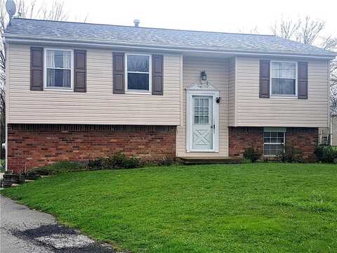 Eleanor, LATROBE, PA 15650