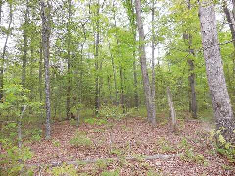 Knoll Ridge, BEAVERDAM, VA 23015
