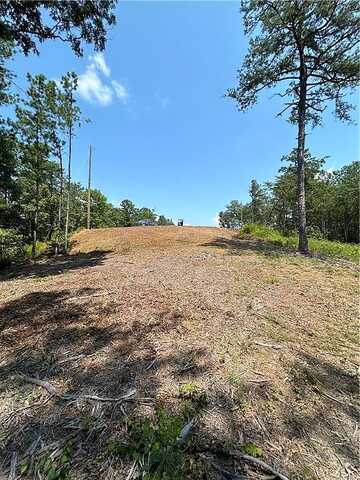 Lt 96 Deep Springs Trail, Talking Rock, GA 30175