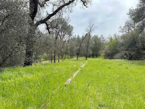 Joeger Rd, Auburn, CA 95602