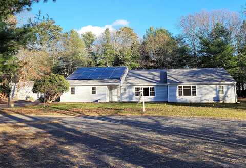 Foxglove, CENTERVILLE, MA 02632
