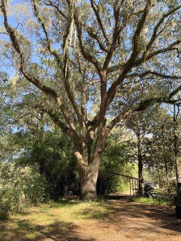 Springfield, PERRY, FL 32347