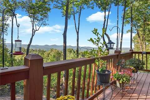 Sam Allen Mountain, ELLIJAY, GA 30536