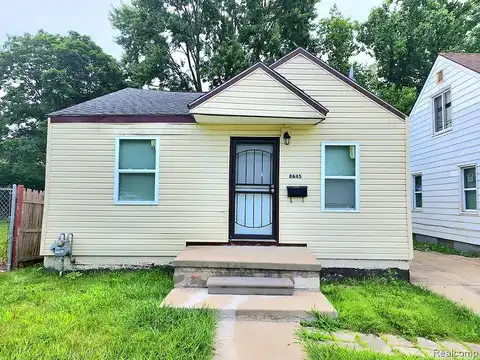 Brace, DETROIT, MI 48228