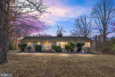 Irish, SCOTTSVILLE, VA 24590