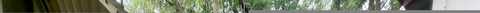 Park, PALATKA, FL 32177