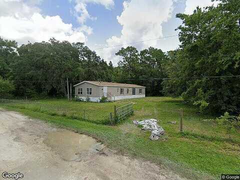Fern, NEW PORT RICHEY, FL 34654