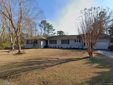 Tree Fern, MOREHEAD CITY, NC 28557