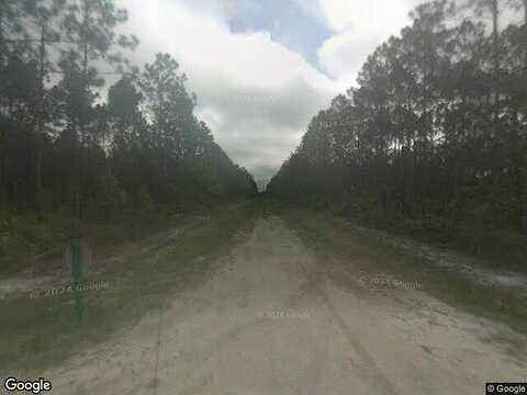Orange, FOLKSTON, GA 31537