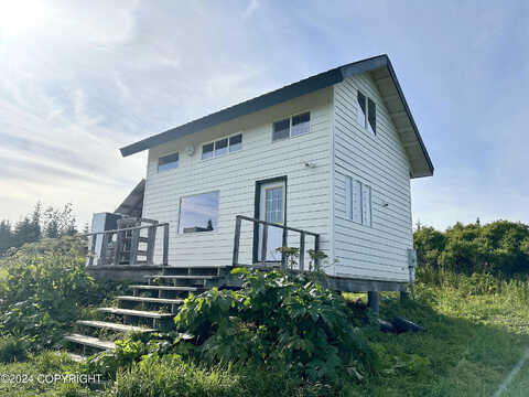 Mossberry, HOMER, AK 99603