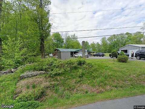 Tony Dworetsky, FERNDALE, NY 12734
