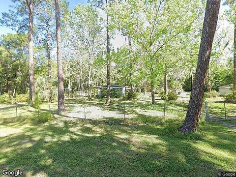Palmetto, WELAKA, FL 32193