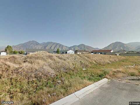River Birch, MAPLETON, UT 84664