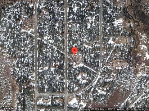 Squirrel, KASILOF, AK 99610