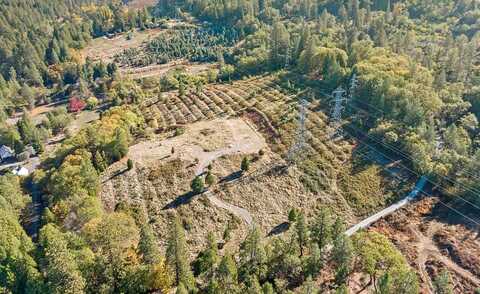 Dancing Oaks, CAMINO, CA 95709