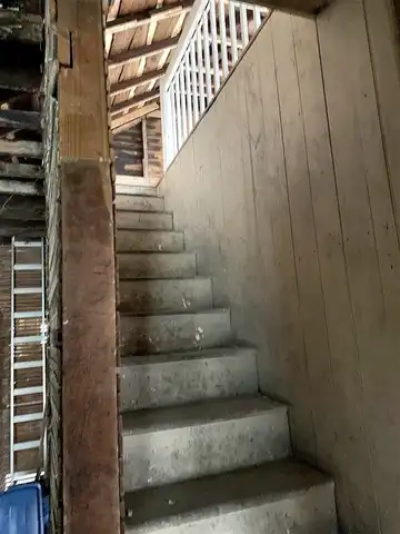 Cedar, FRANKLIN, KY 42134