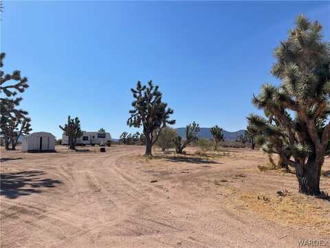 Apple, MEADVIEW, AZ 86444