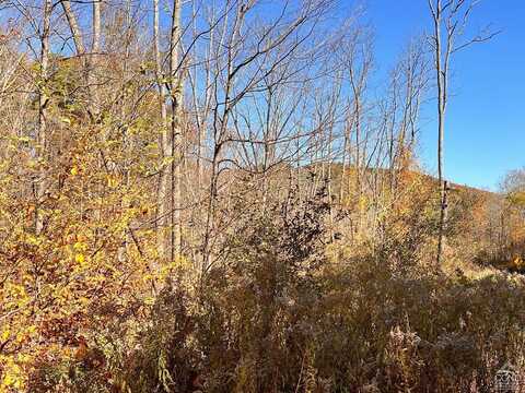 Dugway, HILLSDALE, NY 12529