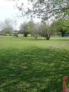 Allen, PORTLAND, TX 78374