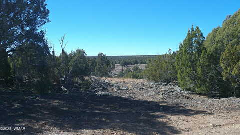 Ridge, SHOW LOW, AZ 85901
