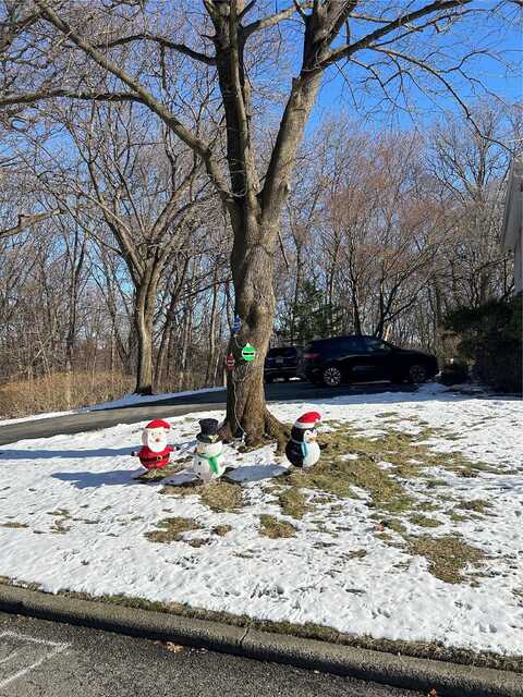 Wingate, YONKERS, NY 10705