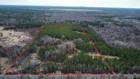 Beaver, NEKOOSA, WI 54457