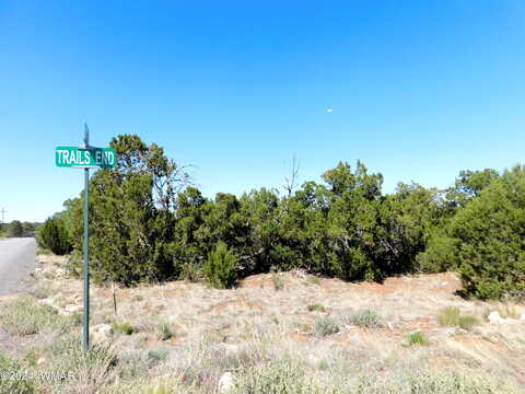 Apache, OVERGAARD, AZ 85933