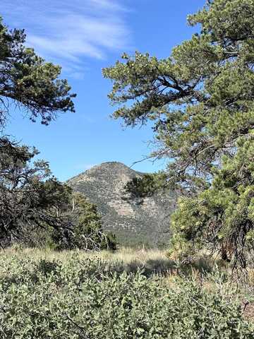 Lookout, DATIL, NM 87821