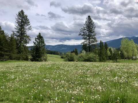 Parker Canyon, BONNERS FERRY, ID 83805