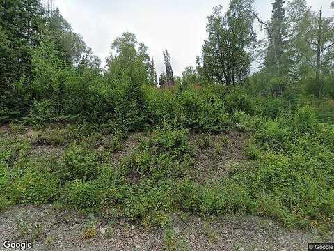 New Homesteader, WASILLA, AK 99623
