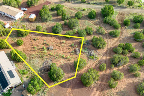 Thorn, SHOW LOW, AZ 85901
