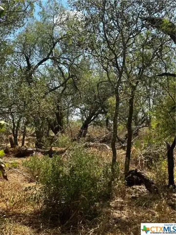County Road 405, FLORESVILLE, TX 78114