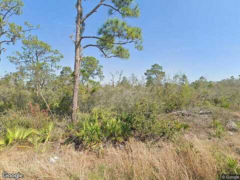Patton, LAKE PLACID, FL 33852