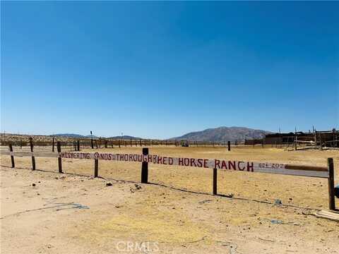 Two Mile, 29 PALMS, CA 92277