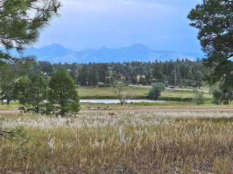 Prospect, PAGOSA SPRINGS, CO 81147