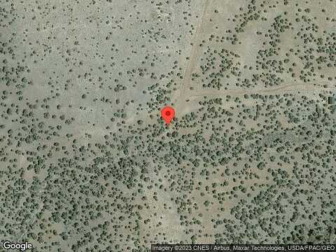 Blackbird, WILLIAMS, AZ 86046