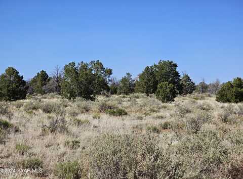 Red Butte, WILLIAMS, AZ 86046
