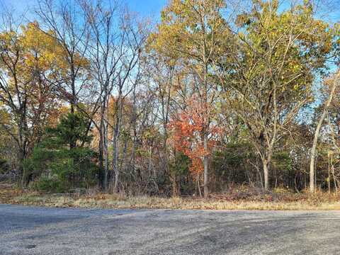 Skyview, BRANSON, MO 65616