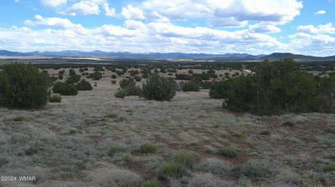 County Road 8009, CONCHO, AZ 85924