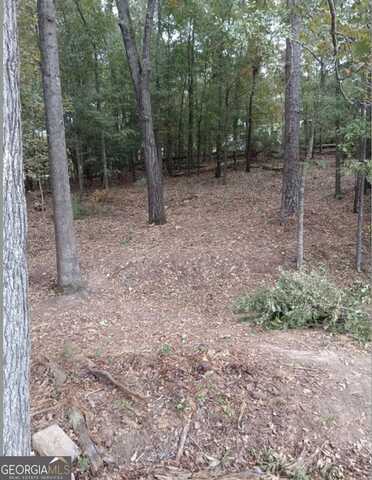 George, WARNER ROBINS, GA 31088