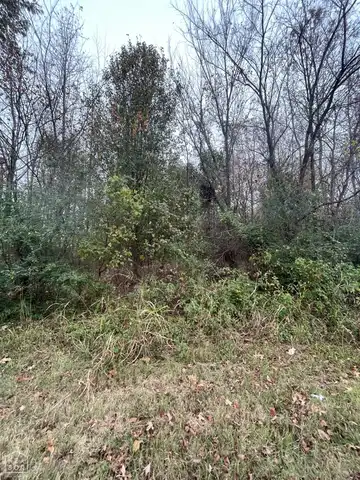 Spring Grove, PARAGOULD, AR 72450