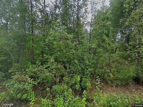 Georgia, PALMER, AK 99645